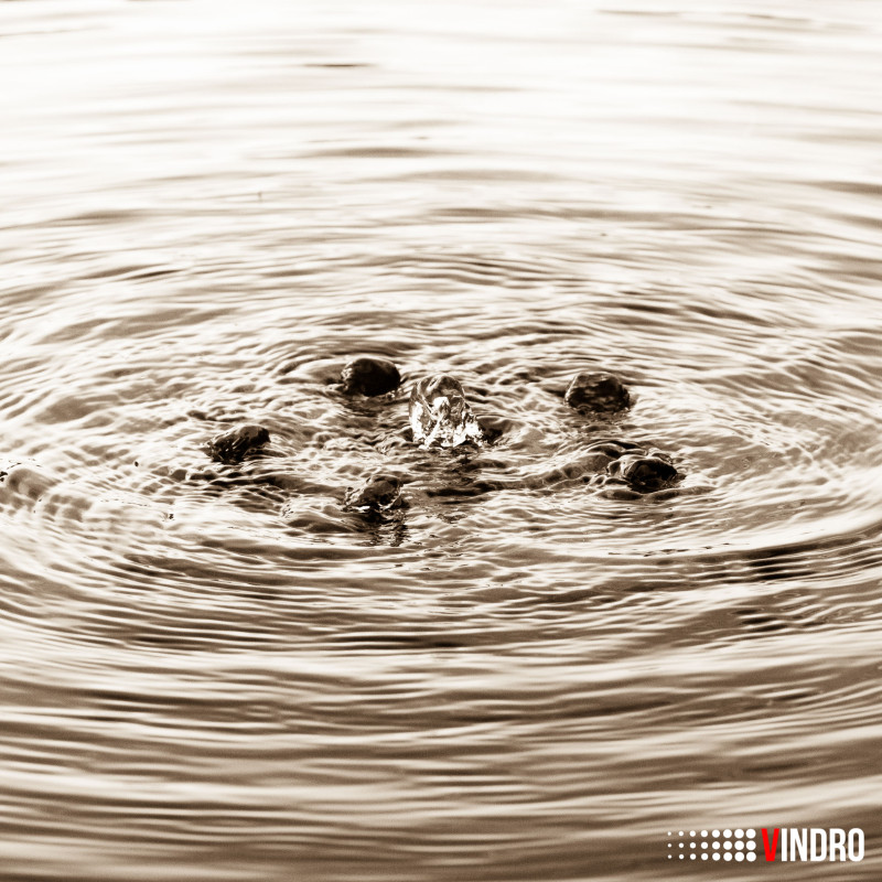 Fotograf Linda Brolin